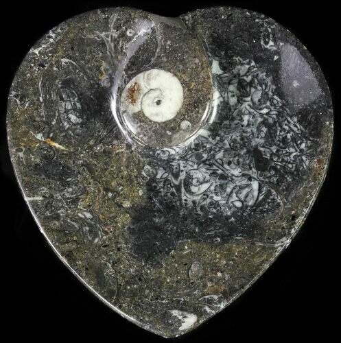 Heart Shaped Fossil Goniatite Dish #61258